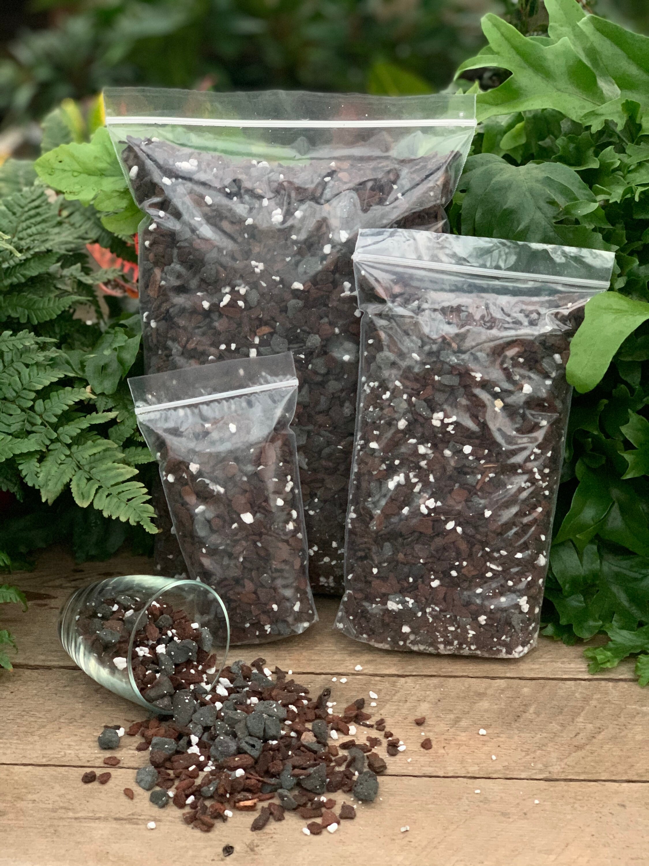 Jewel Orchid Perfect Potting Blend Potting Mix for All Jewel Etsy