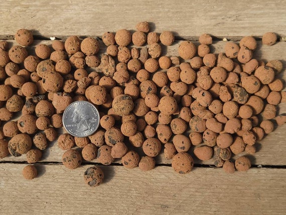 Organic Premium Hydroponic Leca Clay Pebbles for Plant Growing Media -  China Expanded Clay, Clay Pebbles