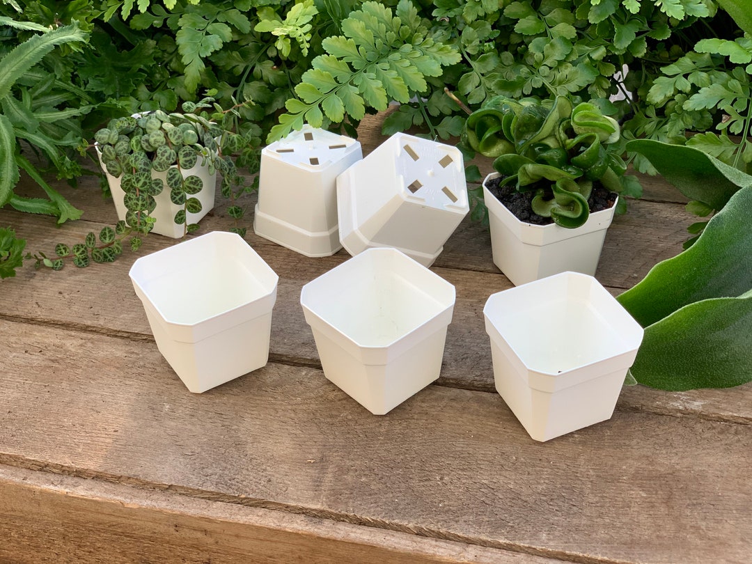 2 1/4 Bulk White Nursery Pots Extra Durable Etsy