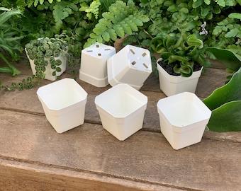 2 1/4” Bulk White Nursery Pots | Extra Durable