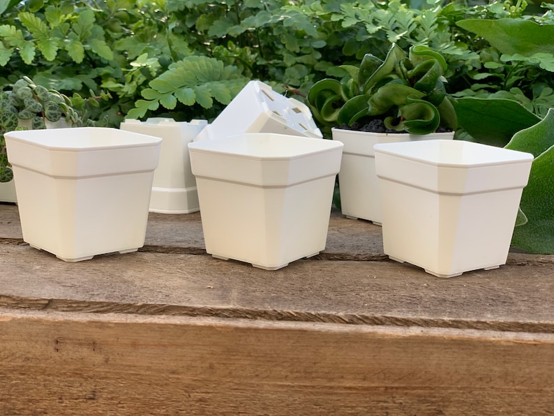 wholesale white pots