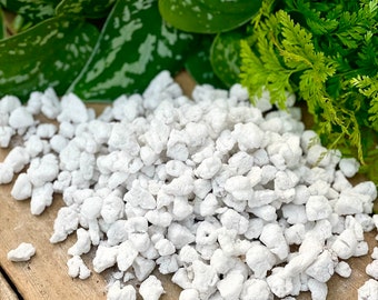 Horticulture Grade Extra Coarse Perlite | Grade 4 | For use with Aroids