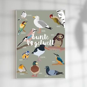 Poster "Bunte Vogelwelt" | einheimische Vögel | verschiedene Formate | digitaler Download