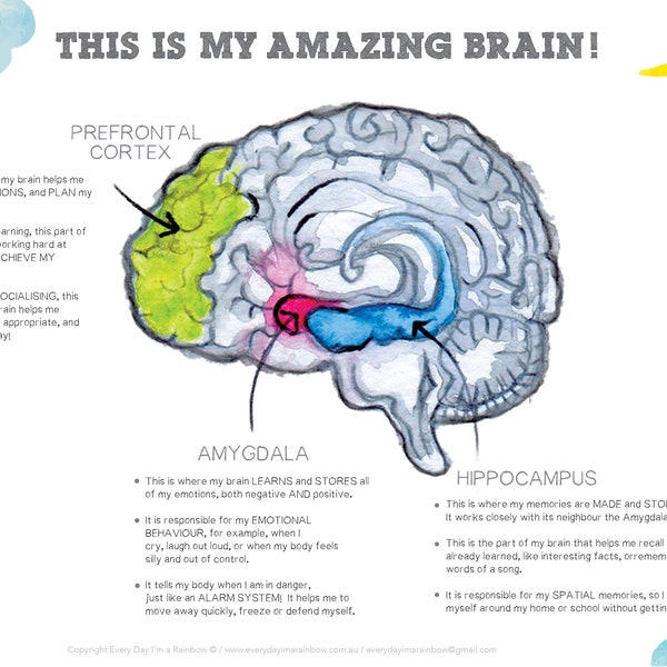 Human brain, limbic system poster, executive functioning, emotions, feelings, amygdala, behaviour, poster for kids, psychology