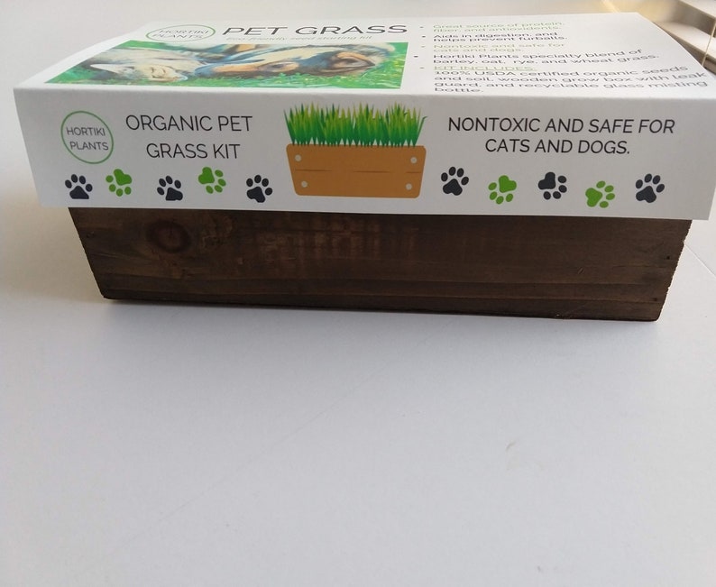 Pet Grass Cat Grass Dog Grass Seed Kit 100 Organic Etsy