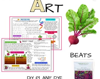 Beets + Art: Kids Garden Activity Seed STEAM Learning Cards - 5 Pack