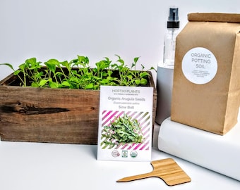 Kit de jardín interior de rúcula orgánica, jardín ecológico, regalo de jardín