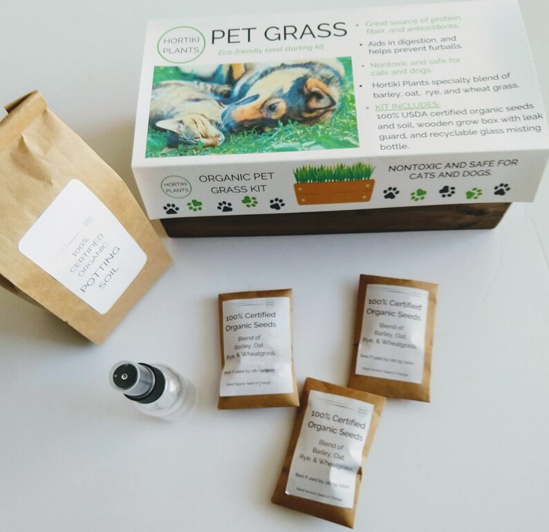Pet Grass Cat Grass Dog Grass Seed Kit 100 Organic Etsy