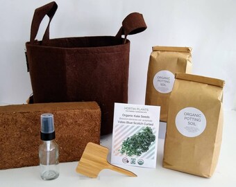 Organic Kale Garden Kit, Container Garden, Garden Gift, Ecofriendly Gift, Spring