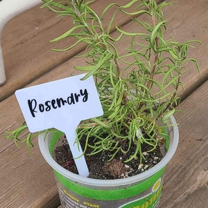 Custom Garden Label / Tags