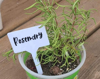 Aangepaste tuinlabel / tags