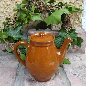 Può includere: Una teiera in ceramica marrone con un coperchio e un manico. La teiera è appoggiata su una superficie di pietra con piante di edera verde sullo sfondo.