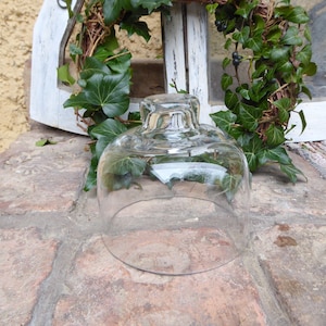 Könnte beinhalten: Eine transparente Glasglocke mit abgerundeter Oberseite und breiter Basis. Die Glocke steht auf einer Ziegelstein-Oberfläche.