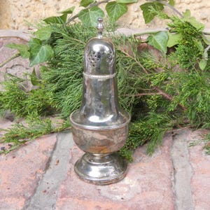 Op de afbeelding: Een zilverkleurige antieke suikerstrooier met een decoratief ontwerp. De strooier heeft een klokvormig lichaam, een geperforeerde bovenkant en een kleine bekroning. De basis is rond en staat op een bakstenen oppervlak, met groen op de achtergrond.