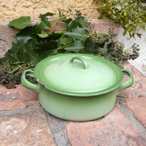 Op de afbeelding: Een lichtgroene emaille pot met een bijpassende deksel en twee handvatten aan de zijkant. De pot is rond en staat op een bakstenen oppervlak. De pot heeft een handvat op het deksel. Groene bladeren en bessen zijn op de achtergrond.