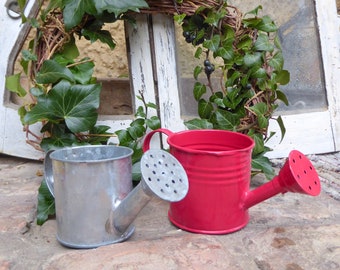 Small WATERING CAN silver or red vintage