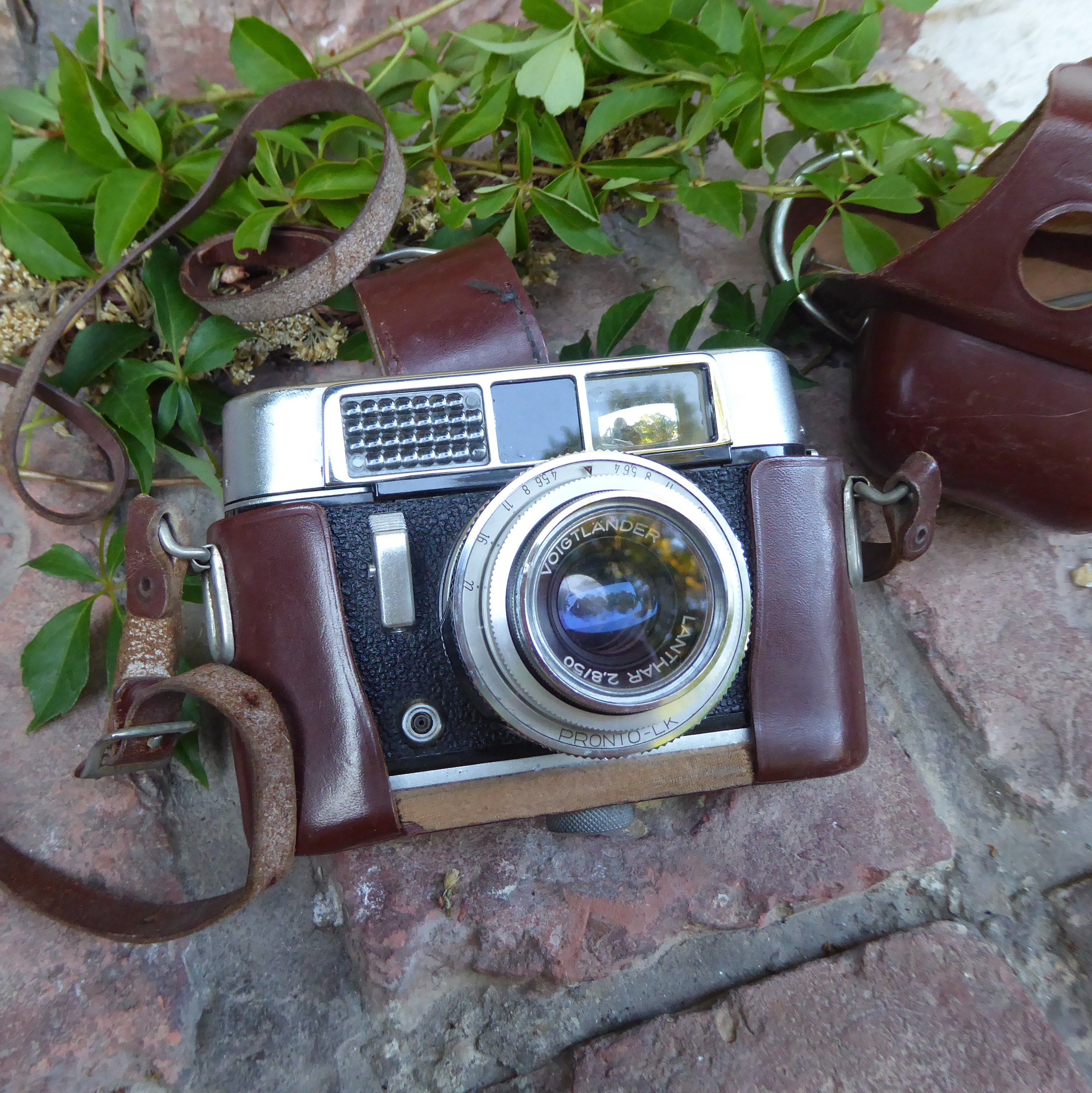 フィルムカメラ VOIGTLANDER VITO automatic LANTHAR 50 Voigtländer Vito Automatic: A Vintage Film Gem for 2025 – Dutch|Thrift