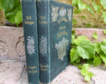 1881/1889 - Buch P. K. ROSEGGER - Ausgewählte Schriften in zwei Büchern