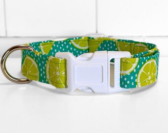 Limes & White Polka Dots on Teal Fabric Dog/Cat Collar