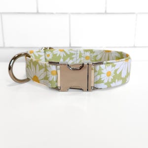 White Daisy on Sage Green Fabric Dog/Cat Collar