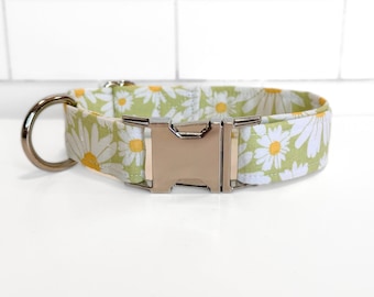 White Daisy on Sage Green Fabric Dog/Cat Collar