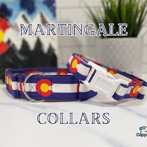 Martingale Dog Collar