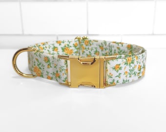 Buttercup Flowers on White Fabric Dog/Cat Collar
