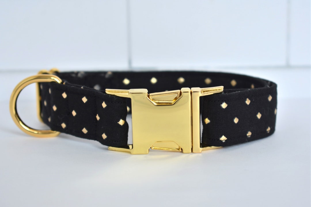 Gold Studded Dog/cat Collar Black Dog Collar Gold Dog Collar Fancy Dog
