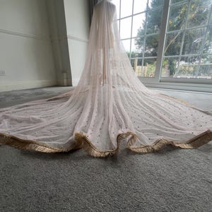 Traditional Pakistani Nikkah / Indian Net Veil / Dupatta / Wedding Veil - pink