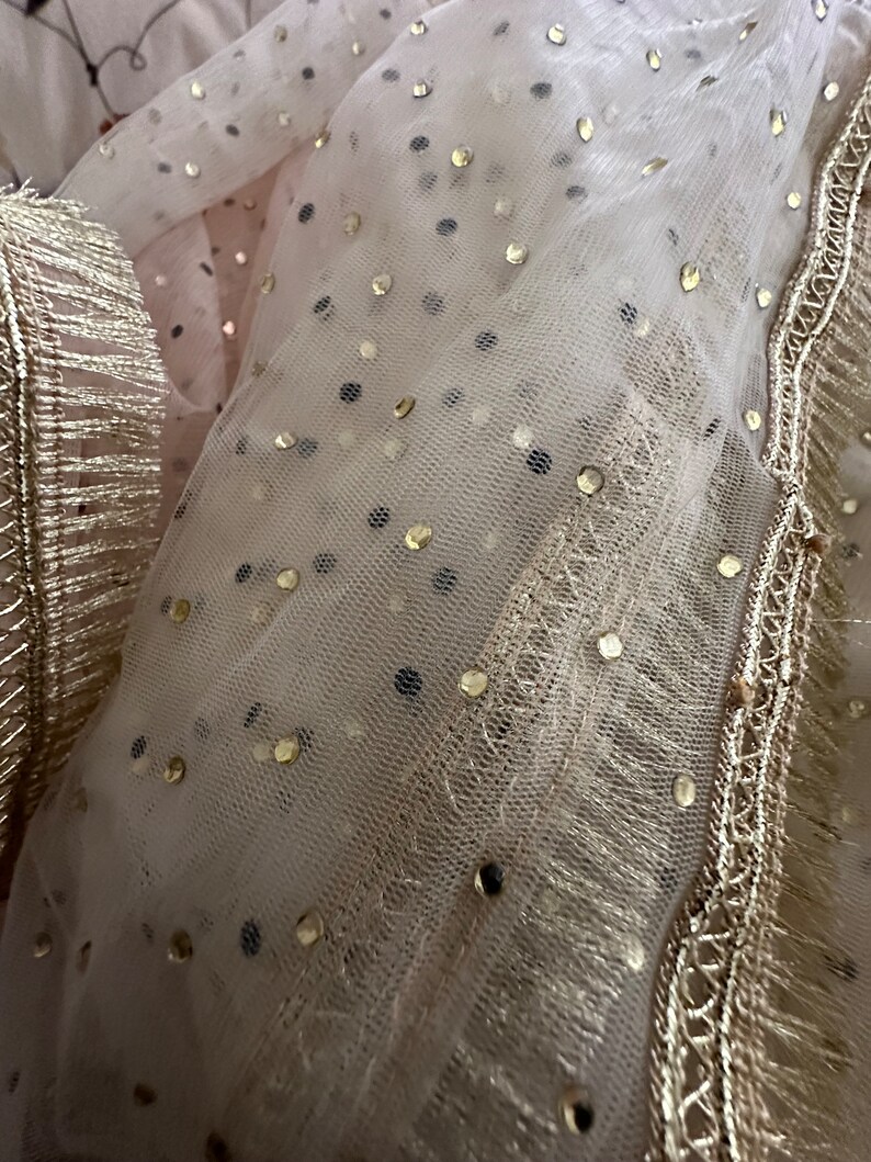 Traditional Pakistani Nikkah / Indian Net Veil / Dupatta / Wedding Veil Peach /off white image 1