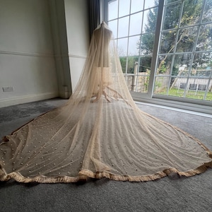 EXTRA LONG**Traditional Pakistani Nikkah / Indian Net Veil / Dupatta / Wedding Veil - gold/ with fringe