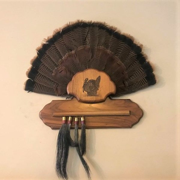 Turkey Beard Display Etsy