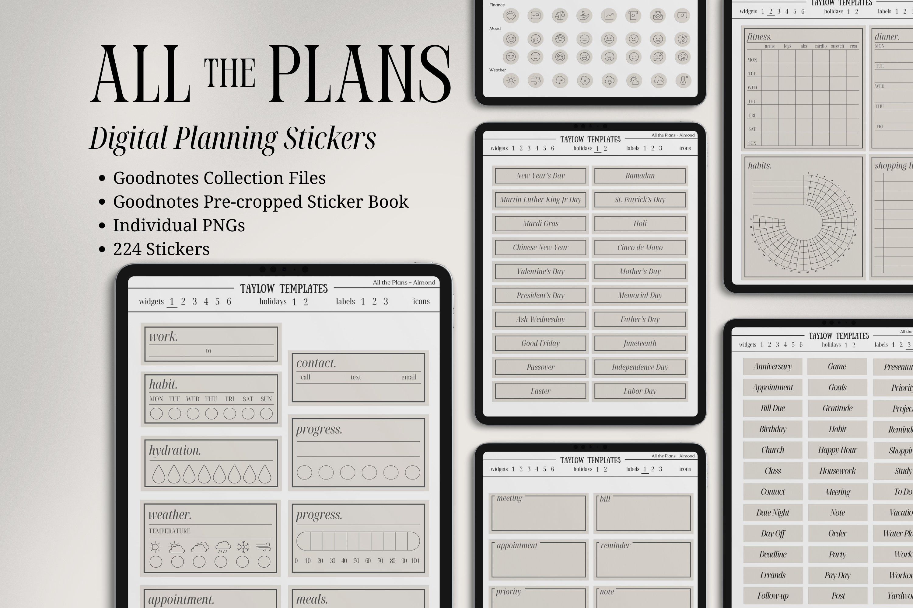 Digital Stickers | Planner Stickers | Sticker Book Goodnotes | Daily Widgets, Labels, Icons, and Holidays | Functional Planning | Aesthetic