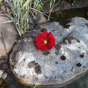 Blume in rot aus Filz mit Perlen als Geschenk und zur Dekoration, Geschenke für Frauen, Geschenk für die Frau Bild 1