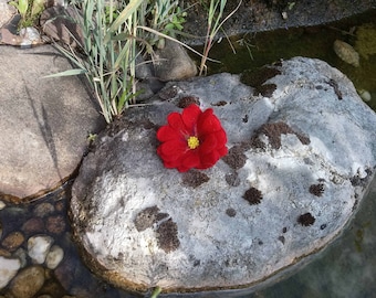 Blume in rot aus Filz mit Perlen als Geschenk und zur Dekoration, Geschenke für Frauen, Geschenk für die Frau