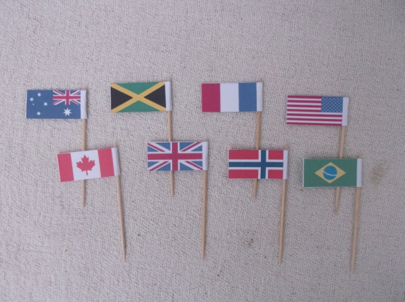 Cocktail Stick Flags Mini Cake Flags National Flags Country Etsy