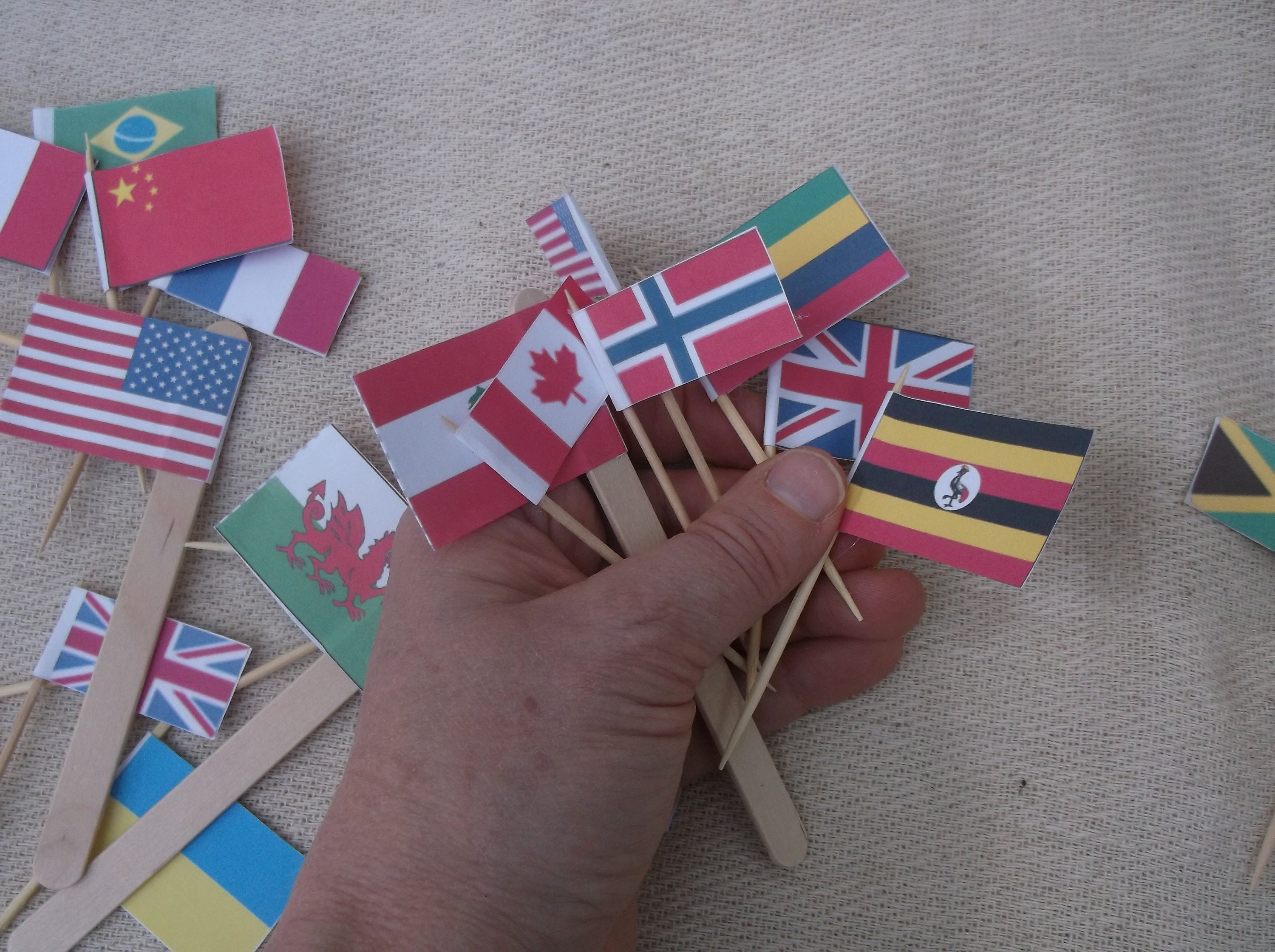 Cocktail Stick Flags Mini Cake Flags National Flags Country Etsy