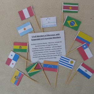 Könnte beinhalten: Eine Sammlung von Miniaturflaggen auf Holzstäben, die den Mercosur-Handelsblock darstellen. Die Flaggen sind um eine zentrale Karte mit Text angeordnet. Die Flaggen umfassen Argentinien, Brasilien, Paraguay, Uruguay, Bolivien, Venezuela und andere assoziierte Mitglieder.