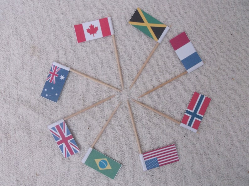 Cocktail Stick Flags Mini Cake Flags National Flags Country Etsy