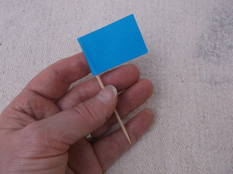 Cocktail Stick Flags Mini Flags Cake Flags Etsy UK