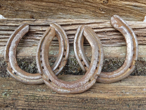 Used Horseshoes, Horseshoe Game, Equine Gift, Pony Shoes