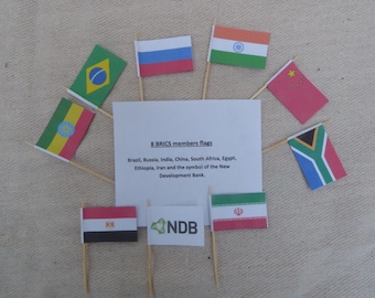 BRICS Nations Cocktail Flags: International Cupcake Toppers (Set of 9)