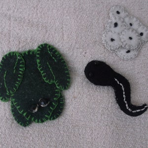 May include: Three felt appliques: a green frog, a black tadpole, and a white egg cluster. The frog has black eyes and green stitching. The tadpole has a black body and a white tail with stitching. The egg cluster is white with black dots.