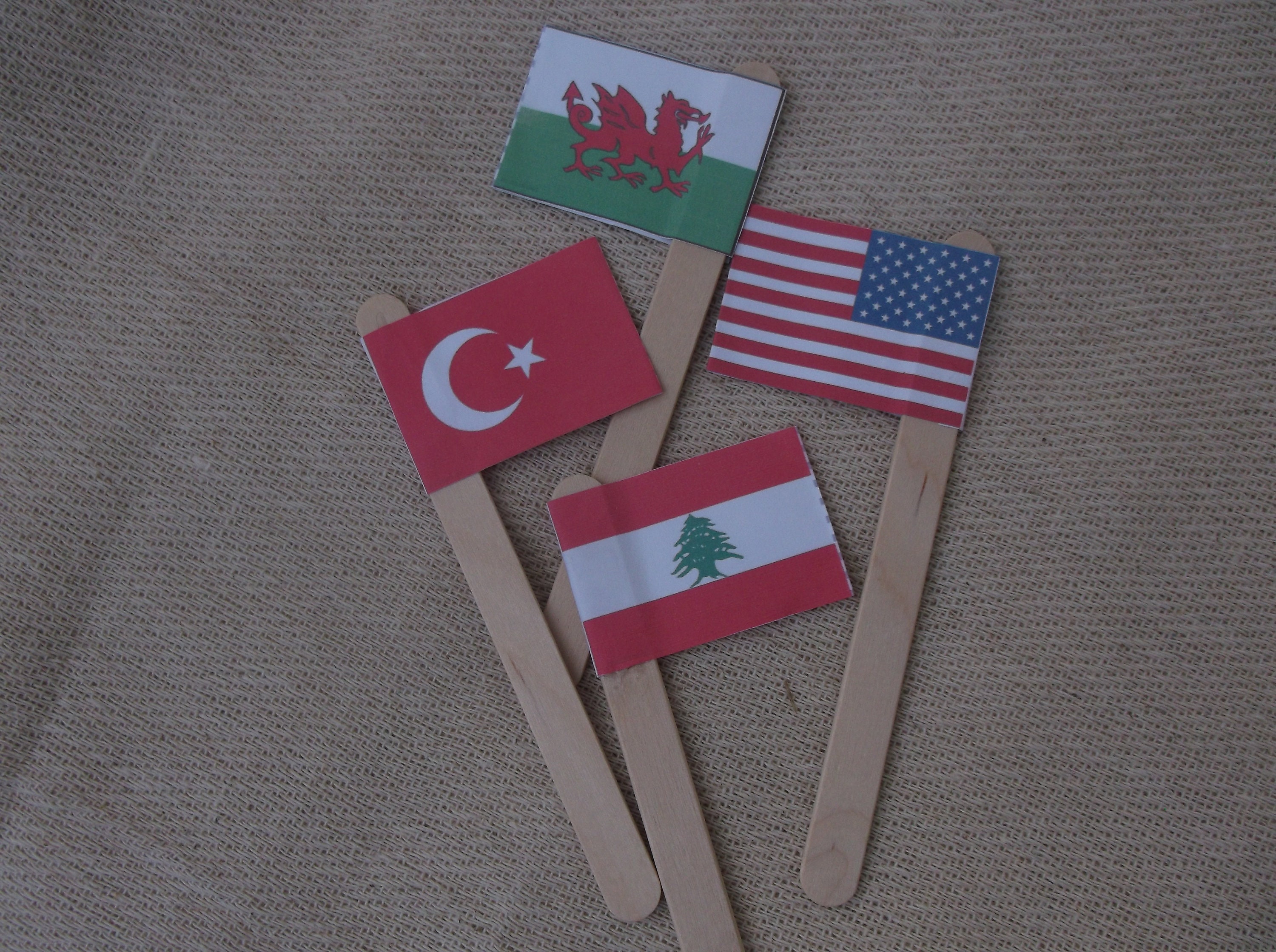 Cocktail Stick Flags Mini Cake Flags National Flags Country Etsy