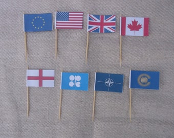 Mini Cocktail Stick Flags: Regional, County, State Cupcake Toppers