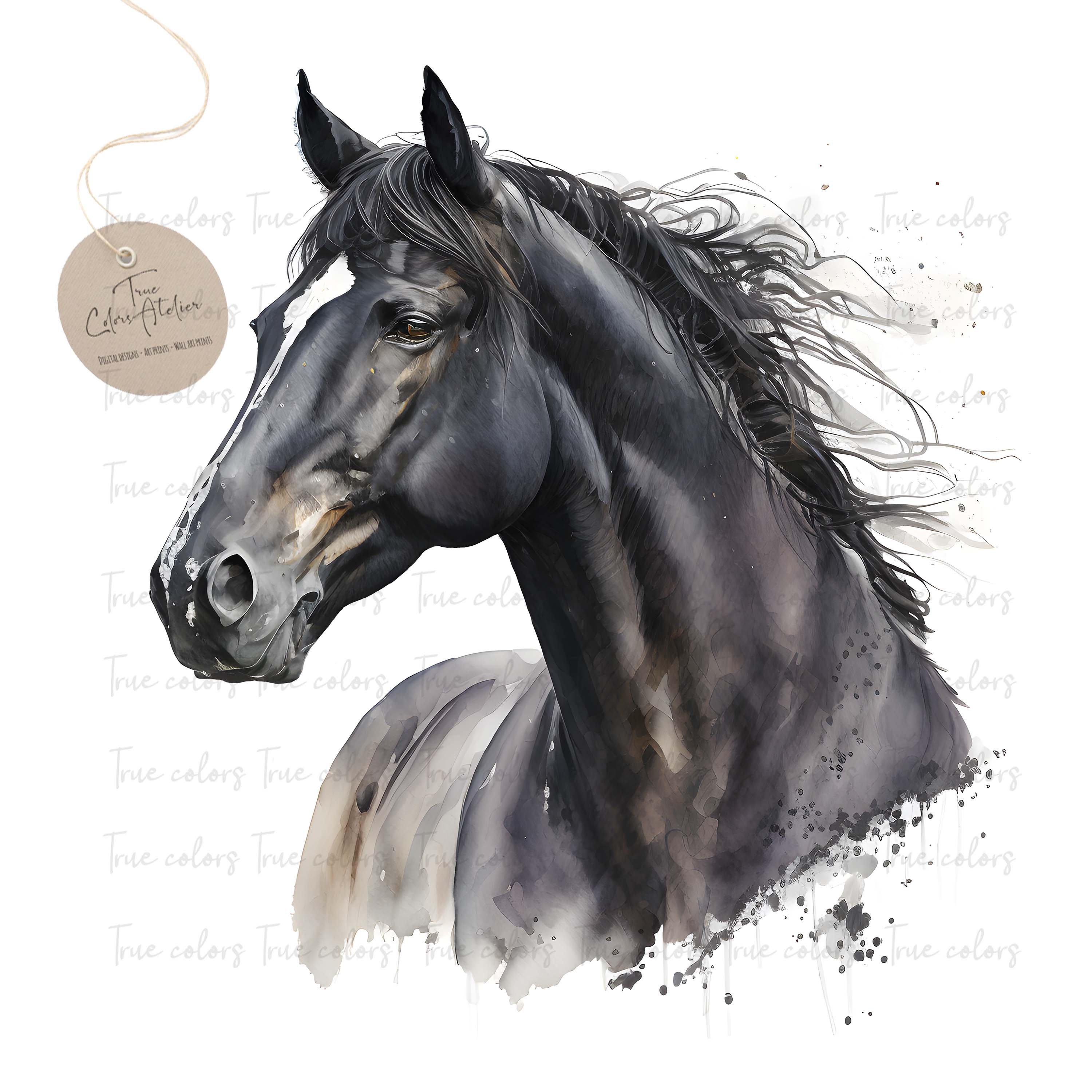 Black Horse Print,black Horse Use,digital Download