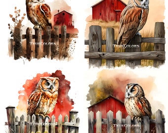 Owl sits on a wooden fence,Red Barn,Rural setting,Farm landscape, Owl Watercolor Art Clipart owl clipart graphic elements for COMMERCIAL USE
