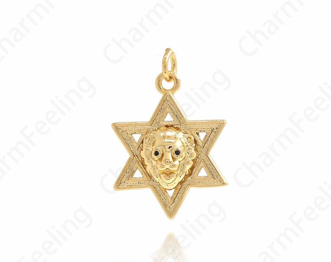 Hexagram Pendant,Lion Charm, Hexagram Charm, 18K Gold Filled Animal Pendant, Star Charm, DIY Jewelry Supplies,26x17.5x5.2mm