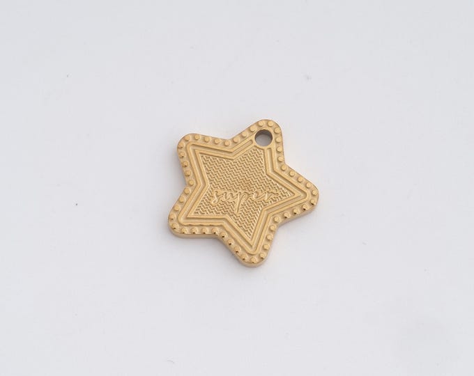 Stainless Steel Star Pendant,Celestial Charms, Starburst Charm, DIY Jewelry Supplies, 15.6x16.2x1.6mm