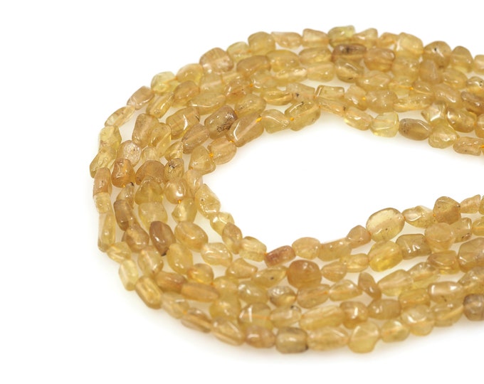 Yellow Apatite Beads, Yellow Apatite Chain, Natural Stone Necklace, Gem Beaded, Jewelry Supplier, DIY Bracelet Necklace Accessories, 6x8mm